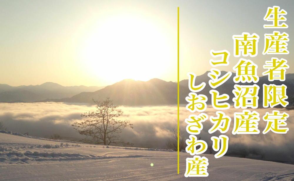 【新米予約・令和6年産】精米20Kg 生産者限定 南魚沼しおざわ産コシヒカリ