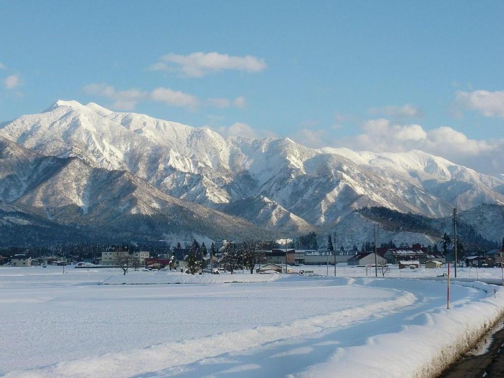 巻機山プリンセス農薬化学肥料不使用ネオニコフリー玄米2kg 標高三百米