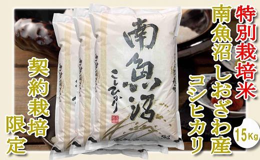 【精米１５Kg】特別栽培 生産者限定  南魚沼しおざわ産コシヒカリ