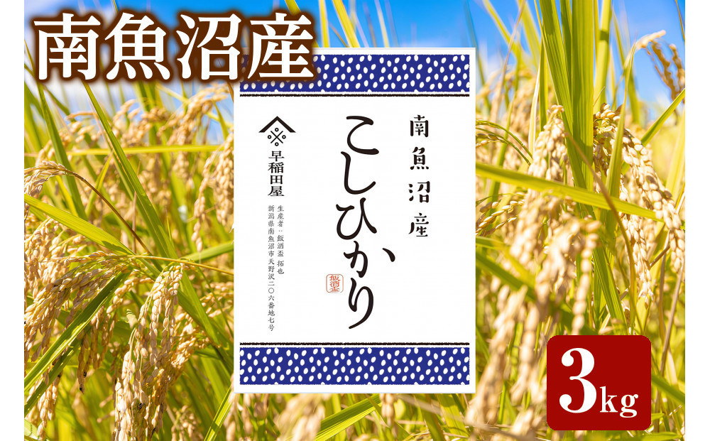 【ふるさと納税】【令和8年産新米予約】南魚沼産コシヒカリ 3kg　塩沢産コシヒカリ【銘柄米 精米 こしひかり コシヒカリ 魚沼産 新潟米 お米 米 こめ】【2026年10月中旬より1ヵ月以内に順次発送予定】