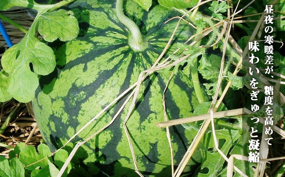 å
è¡äºçŽãé«çŽãå
«è²åããã倧çïŒçã2026幎7æäžæ¬çºéãããå±ãæ¥ææå®äžå¯ã