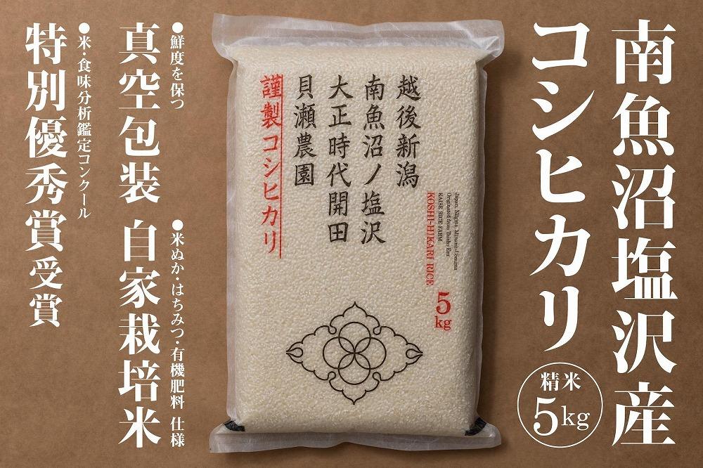新米予約【令和8年産】「貝瀬農園米」農薬5割減栽培　南魚沼塩沢産コシヒカリ　精米5kg【2026年10月上旬から1ヶ月以内に順次発送予定】