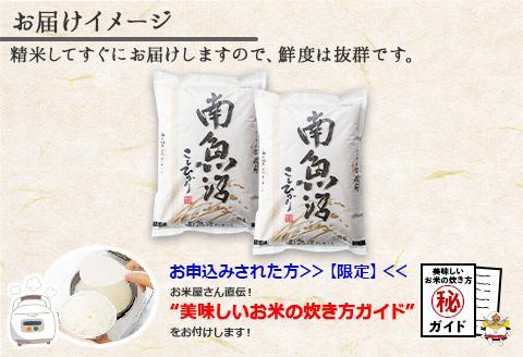 譁ー貎溽恁 蜊鈴ュ壽イシ逕」 繧ウ繧キ繝偵き繝ェ 縺薙@縺イ縺九j 縺顔アウ 2kg テ2蛟 險4kg 邊セ邀ウ 鬲壽イシ 邀ウ 轤翫″譁ケ繧ャ繧、繝我サ倥″
