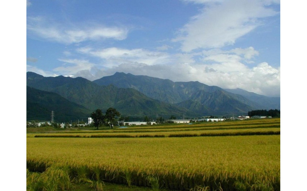 ãå®æäŸ¿ïŒåãïŒæ¯æäžæ¬ãå±ãïŒéªèµæ°·æž©ç±³ åéæ²Œç£ããã²ããïŒïœïœãé«å³¶å±éžå®åã