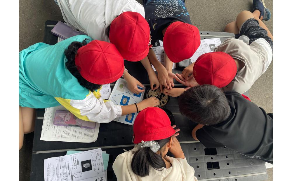 【令和７年産】無洗米【定期便2kg×3回】雪室貯蔵米 南魚沼産コシヒカリ【2025年10月下旬より順次発送予定】