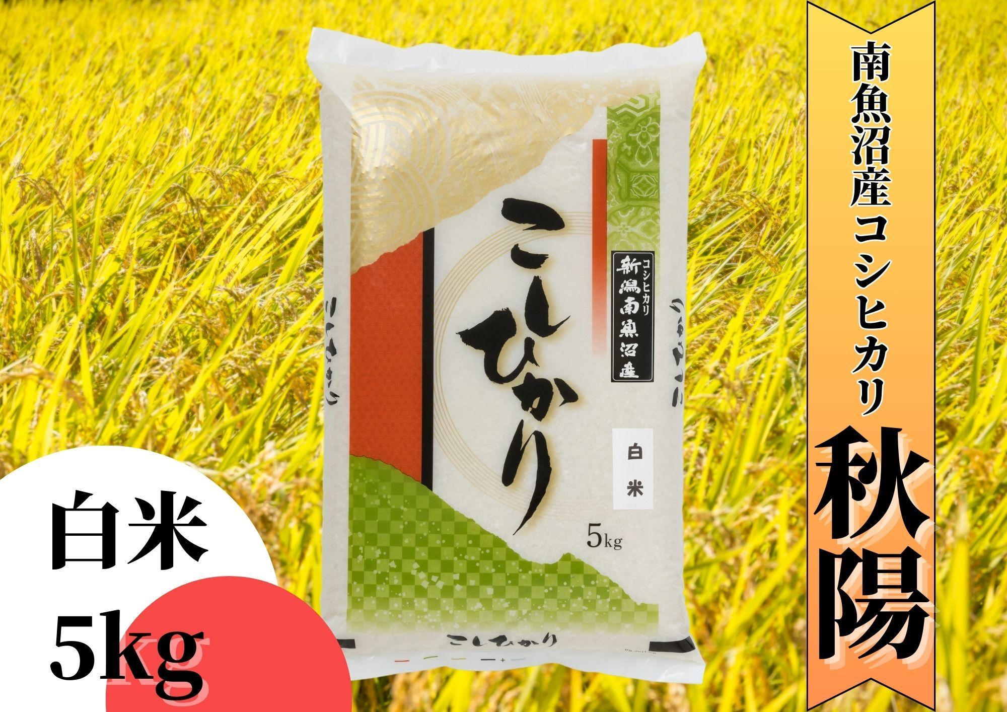 【令和7年産】南魚沼産コシヒカリ「秋陽」（白米5kg）新潟県の特A地区南魚沼市の美味しいお米