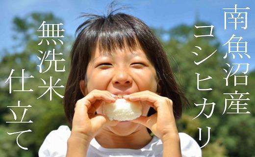 【令和7年産】【無洗米10Kg】吟精  南魚沼産コシヒカリ