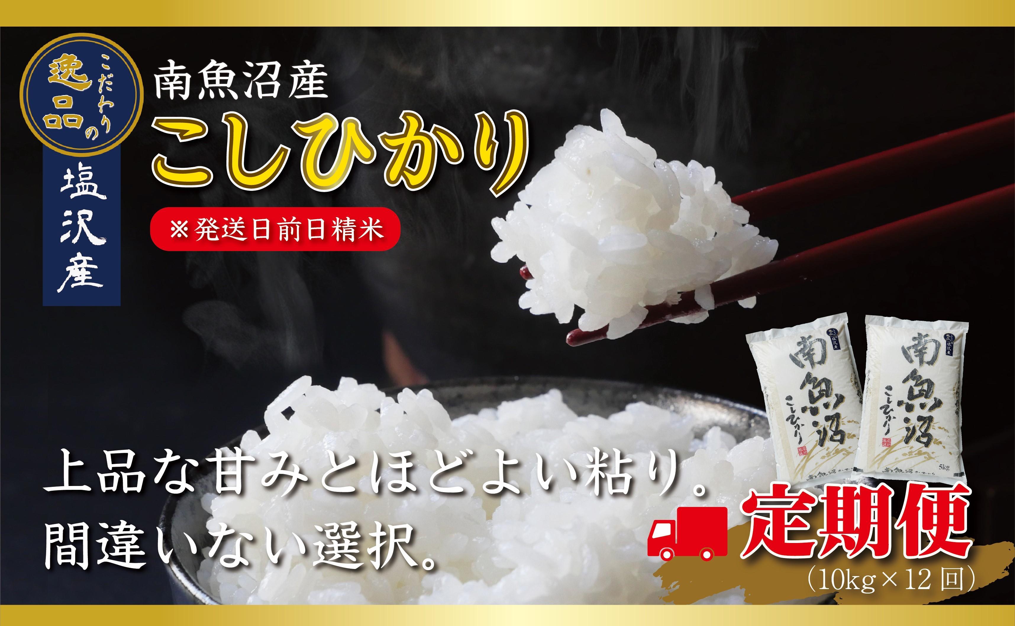 【令和6年産 先行予約】【定期便12ヵ月】南魚沼産コシヒカリ10kg（5kg×2袋）【10kg×12回】【塩沢地区】