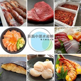 【魚市場直送】越後味噌漬　漬魚切身3切3種(銀鮭・銀ダラ・カラスカレイ 各100g×3切）