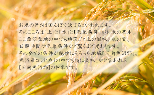 【令和6年産 新米】【高級】南魚沼産こしひかり２ｋｇ×５袋（玄米）【米 お米 こしひかり 南魚沼 米 玄米 こめ 新潟 米】