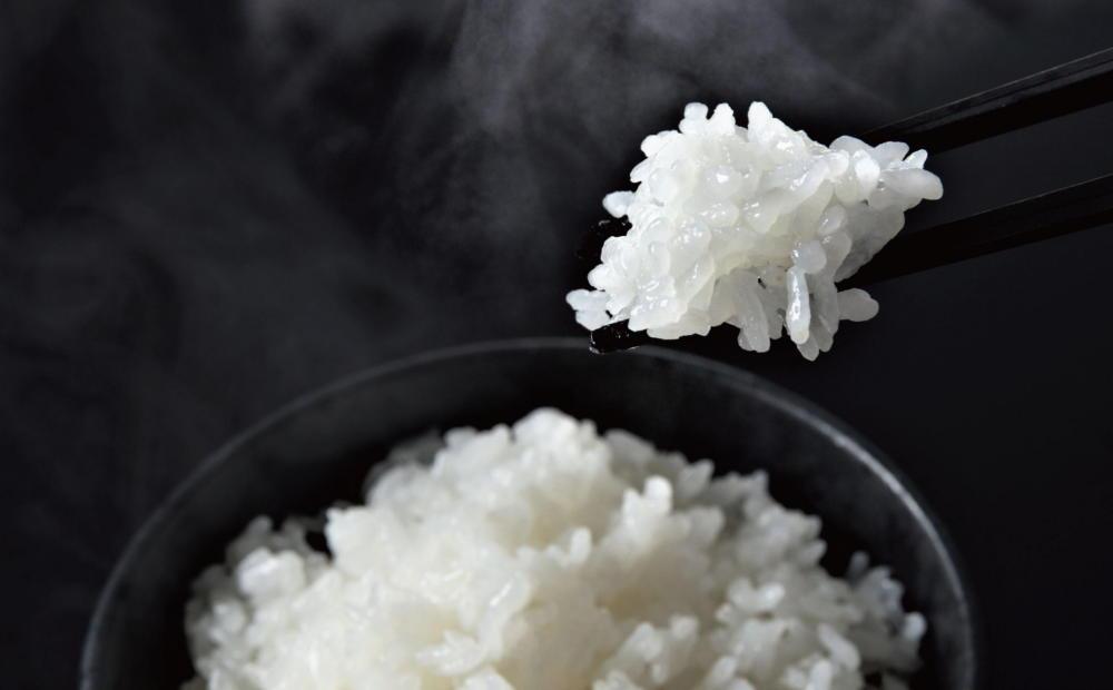 【定期便令和7年産】関智晴がつくる南魚沼塩沢産コシヒカリ ５kg×全９回 減農薬栽培米