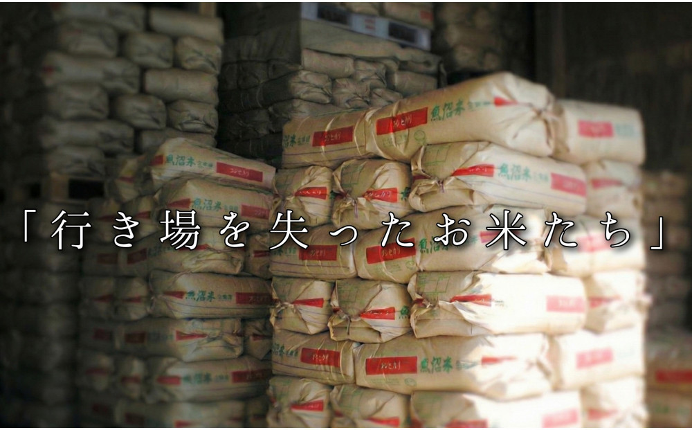 【令和7年産】南魚沼産コシヒカリ　玄米10kg　訳あり