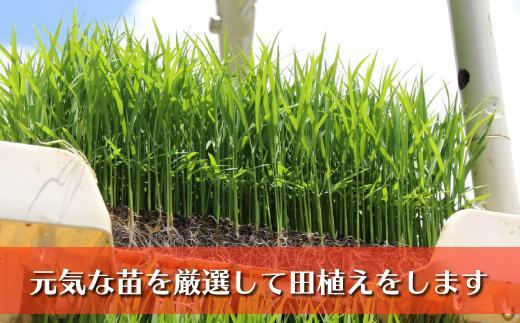 縲蝉サ、蜥鯉シ怜ケエ逕」縲大漉鬲壽イシ逕」繧ウ繧キ繝偵き繝ェ縲蟇御ク蛾ヮ縲霎イ阮ャ8蜑イ貂帙ョ迚ケ蛻・譬ス蝓ケ邀ウ縲閧・豐縺ェ螟ァ蝨ー縺ィ蜈ォ豬キ螻ア縺ョ髮ェ隗」縺第ーエ縺瑚ご繧薙□蜴ウ驕ク邀ウ縲辟。豢礼アウシ包ス具ス