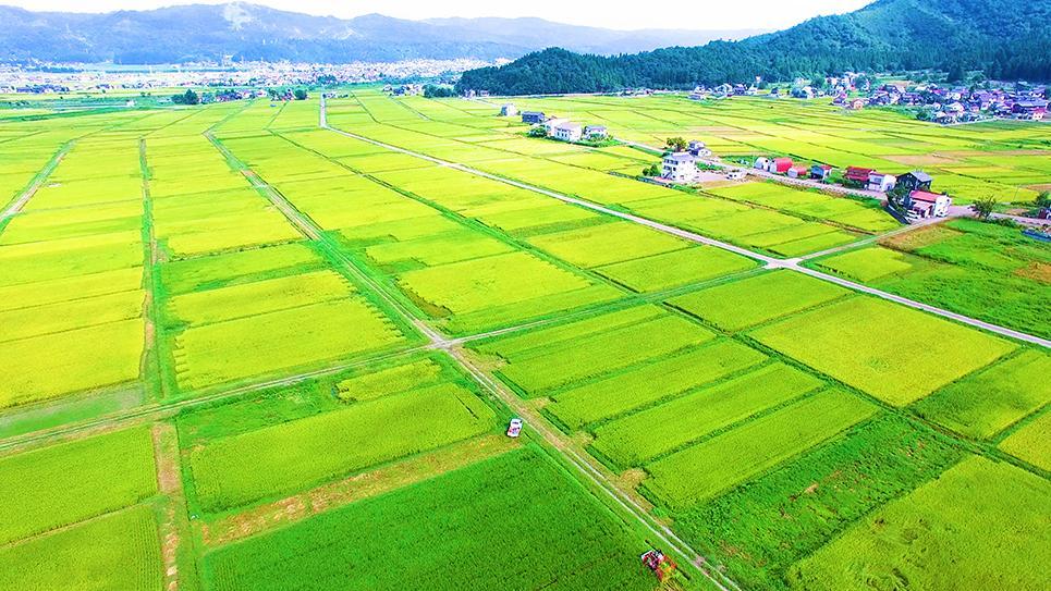 【令和7年産】南魚沼産こしひかり「秋雪」白米10kg 新潟県の特A地区南魚沼市の美味しいお米