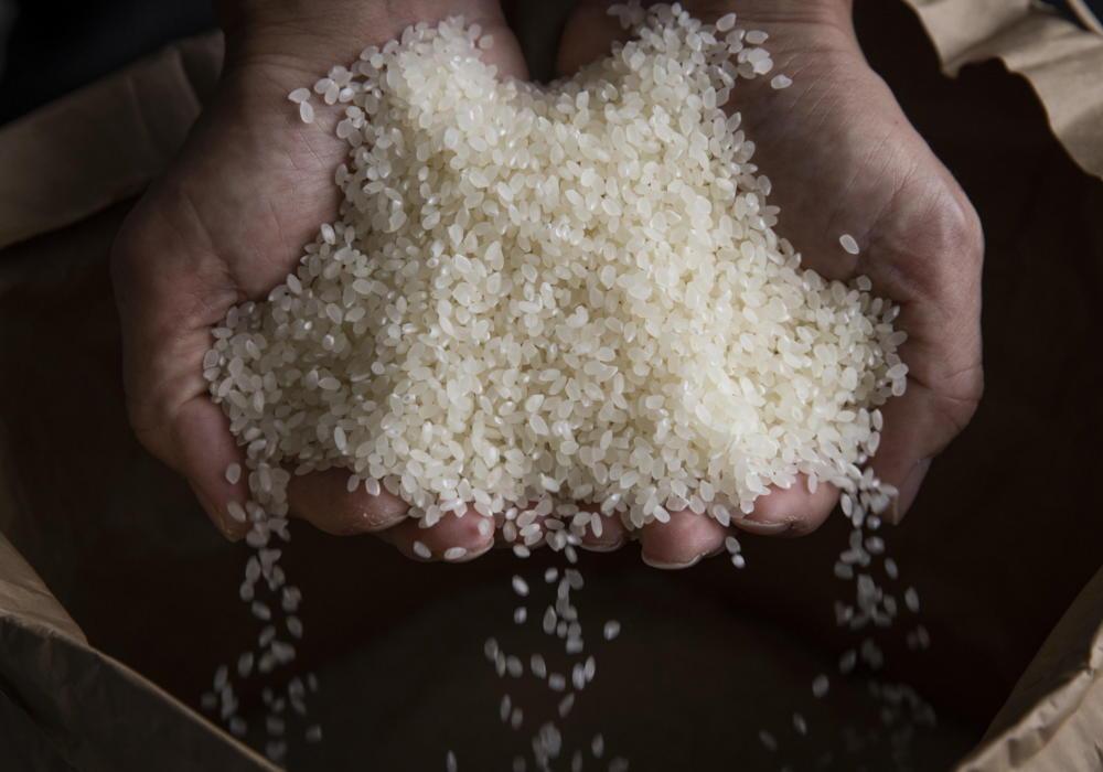 ã什å7幎ç£ãæé«éè³åè³ æ œå¹æéäžèŸ²è¬5岿žæ œå¹ãåéæ²Œç£ã³ã·ãã«ãªãããŸããå®¶ã®ãç±³ã10kg