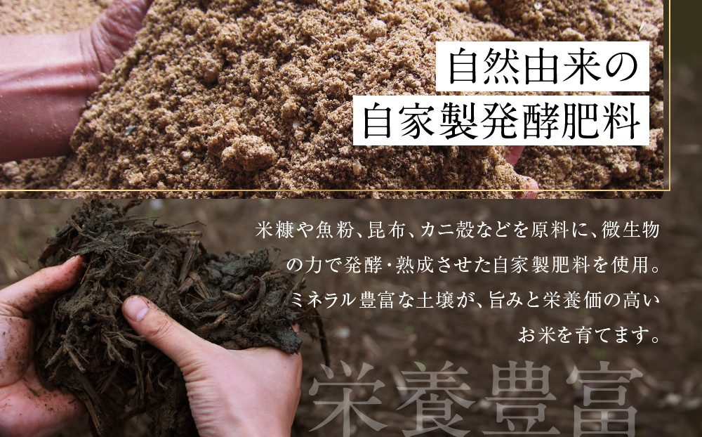 【定期便】関智晴がつくる最高級 南魚沼産コシヒカリ 金丸 ５kg ×全12回　栽培期間中 農薬化学肥料不使用【定期便 銘柄米 ブランド米 精米 こしひかり コシヒカリ 魚沼産 新潟米 産地直送 お米 米 こめ コメ ご飯 御飯 ごはん】