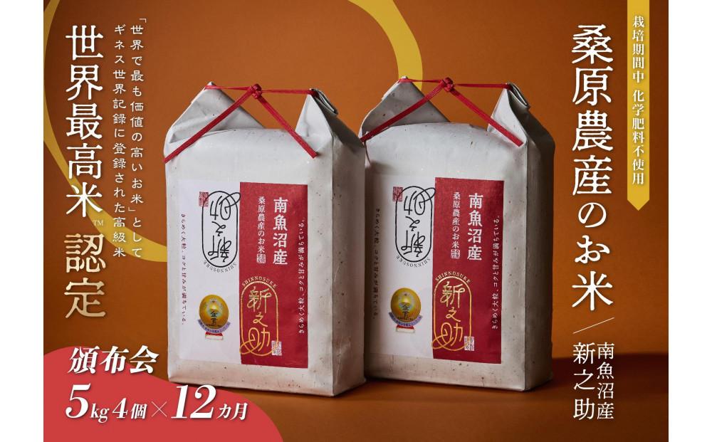 【R7年産】【頒布会】ギネス世界記録「世界最高米」認定 最高級南魚沼産新之助20kg(5kg×4)×12ヵ月 桑原農産のお米(精米)