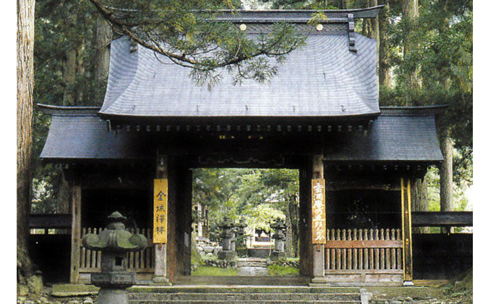 【頒布会】南魚沼産「どん米」白米真空パック4.8kg×5ヶ月　ちょっと！うるさいよ！炊き方