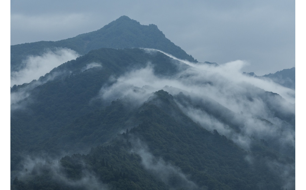 新米予約【令和8年産】【定期便】南魚沼塩沢産コシヒカリ「然然」　農薬5割減栽培　玄米10kg（5kg x 2） x 全12回【2026年10月上旬より1ヶ月以内に順次発送予定】