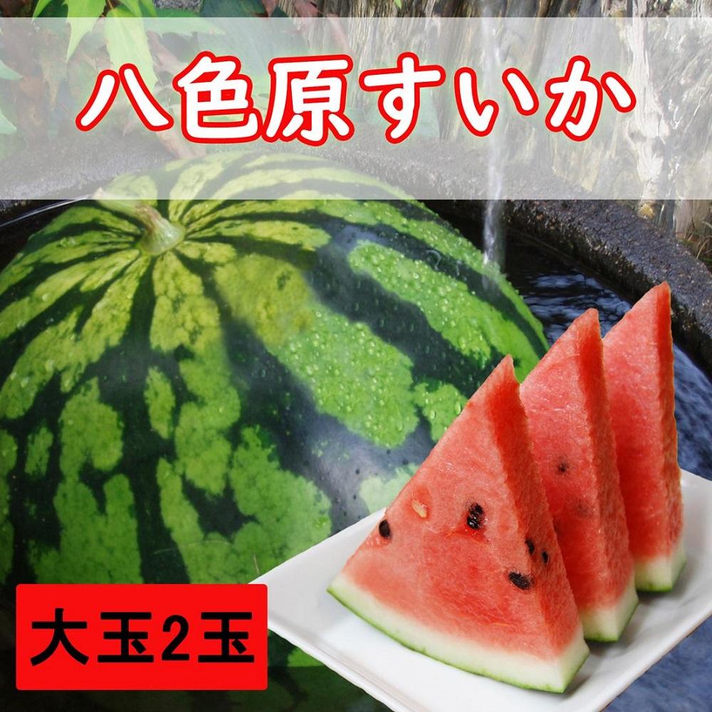 【先行予約】八色原西瓜 大玉2玉【2026年7月下旬発送】【お届け日時指定不可】