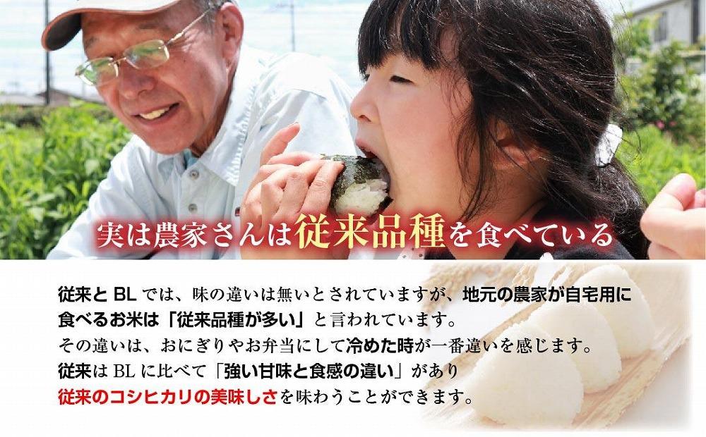 新潟県 南魚沼産 コシヒカリ 【従来品種】塩沢地区 お米 2kg  ×3袋 計6kg精米済み（お米の美味しい炊き方ガイド付き）