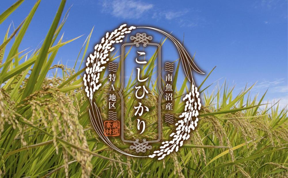 åéæ²Œç£ ã³ã·ãã«ãª æ®éã«çãã çç±³ 2kgÃ4è¢ èš8kg ããã²ãã æ°æœç ç±³ çç±³é£ ã³ã¡ ãã