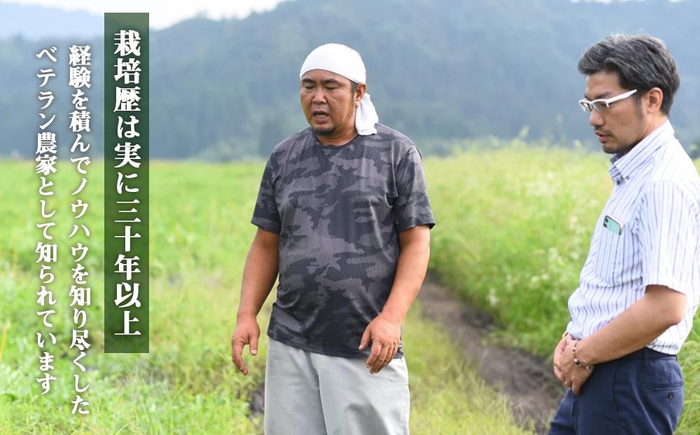 先行予約【高級】八色原すいか大玉２玉【2026年7月下旬発送】【お届け日時指定不可】