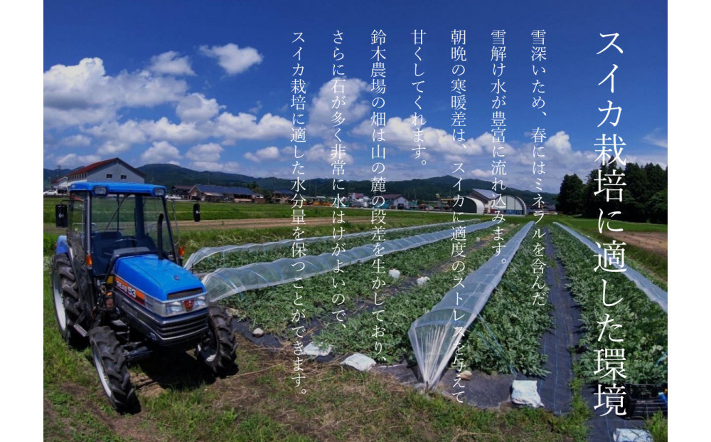 ã什å8幎/å°çãããäºçŽãããªïŒã·ã£ãªïŒçïœãïŒ2çå
¥ããé£ã¹ãããµã€ãºãã2026幎7æäžæ¬ããçºéäºå®ã