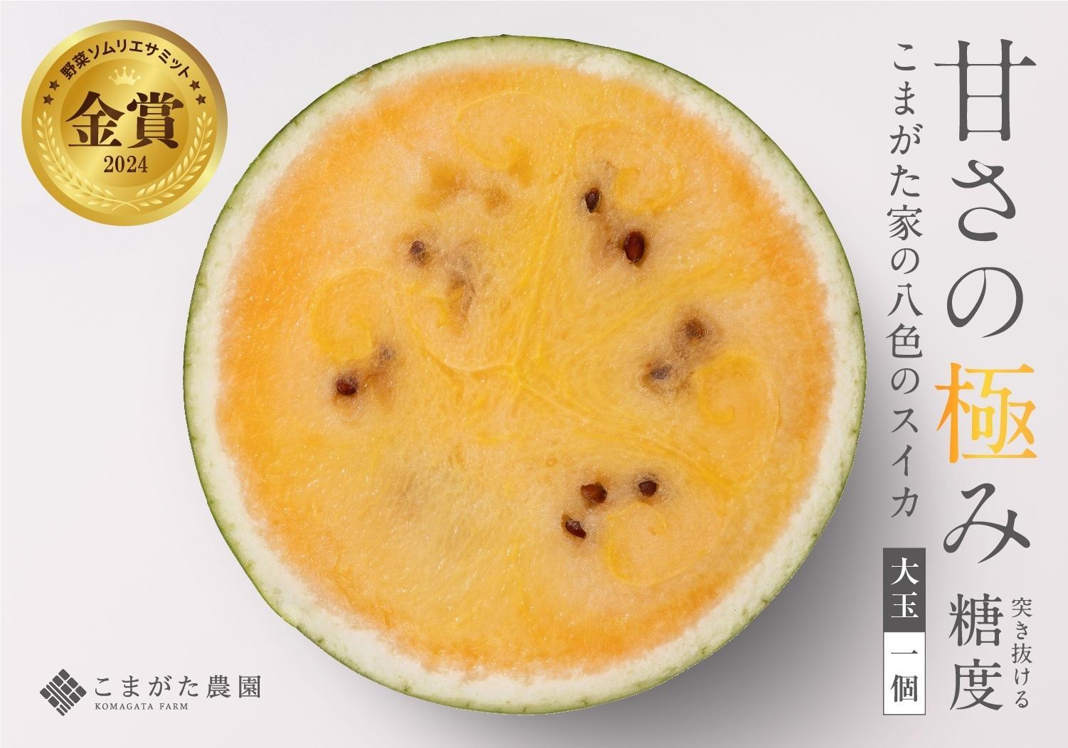 【2026年7月下旬〜8月上旬順次発送予定】糖度日本一・金賞W受賞 金色羅皇  最高級南魚沼八色産黄色スイカ「こまがた家の八色のスイカ」プレミアム大玉 1玉【西瓜 スイカ すいか 大玉 季節限定 果物 フルーツ ギフト 名産地 デザート】