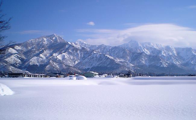 縲蝉サ、蜥7蟷エ逕」譁ー邀ウ莠育エ縲代仙ョ壽悄萓ソ縲第・オ荳雁漉鬲壽イシ逕」繧ウ繧キ繝偵き繝ェシ域怏讖溯ぇ譁吶∝。ゥ豐「逕」シ臥私邀ウ10ス具ステ怜ィ12蝗槭2025蟷エ9譛井クュ譌ャ繧医j鬆谺。逋コ騾∽コ亥ョ壹