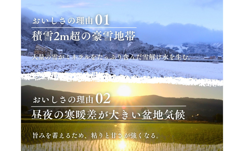 ã什å7幎床ç£ããå®æäŸ¿ãåéæ²Œãæ§å¡©æ²¢ãéå® ã³ã·ãã«ãªã5kgÃ6åãçœç±³