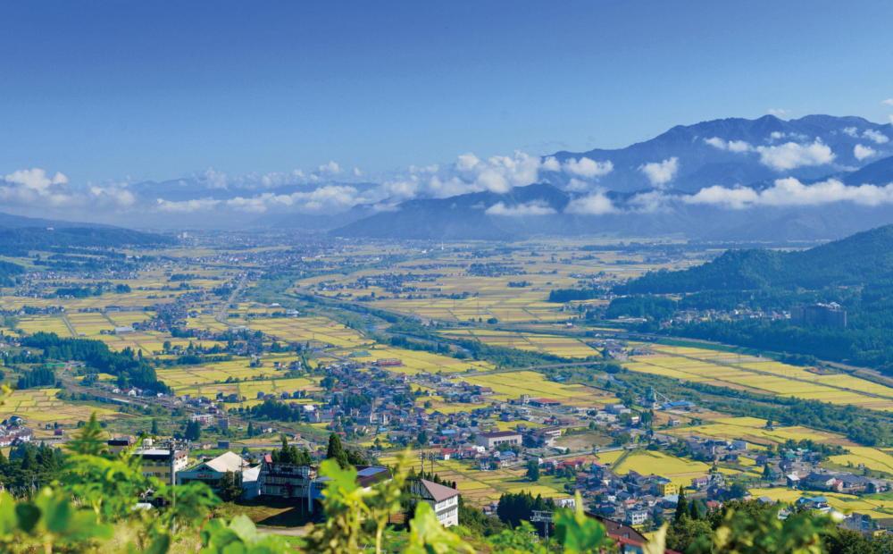 縲仙ョ壽悄萓ソ莉、蜥7蟷エ逕」縲鷹未譎コ譎エ縺後▽縺上k蜊鈴ュ壽イシ蝪ゥ豐「逕」繧ウ繧キ繝偵き繝ェ シ斌gテ怜ィシ吝屓 貂幄セイ阮ャ譬ス蝓ケ邀ウ縲2025蟷エ9譛井クュ譌ャ繧医j鬆谺。逋コ騾∽コ亥ョ壹