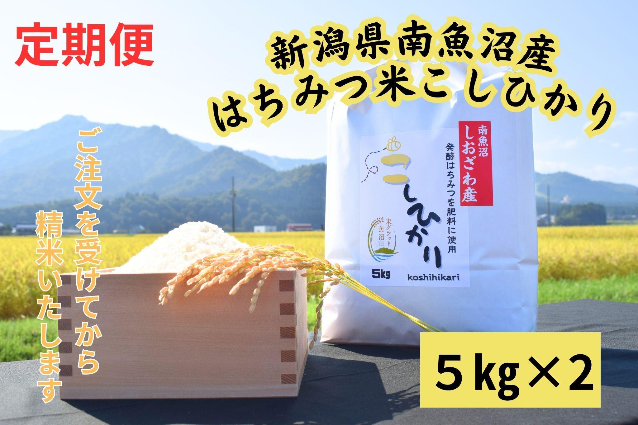 【定期便】　南魚沼しおざわ産　はちみつ米　10kg×12か月　新米