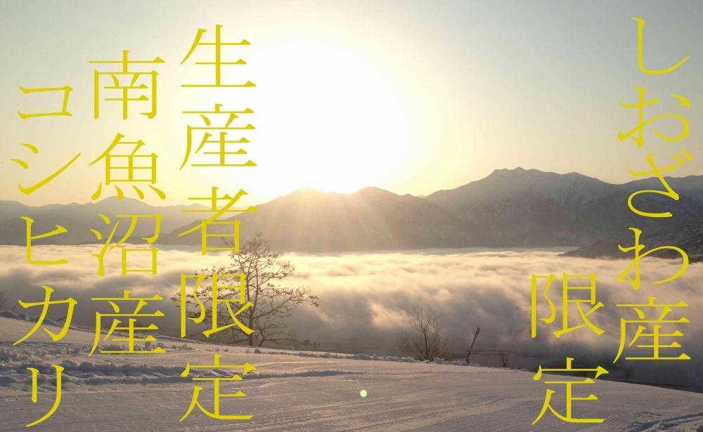 【令和7年産】【定期便20kg×9ヶ月】しおざわ産限定 生産者限定 南魚沼産コシヒカリ