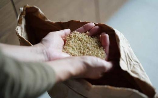 縲仙ョ壽悄萓ソ縲台サ、蜥7蟷エ逕」 蜊鈴ュ壽イシ逕」繧ウ繧キ繝偵き繝ェ縲悟。ゥ豐「蝨ー蛹コ髯仙ョ壹咲イセ邀ウ 5kg 12繝カ譛磯」邯