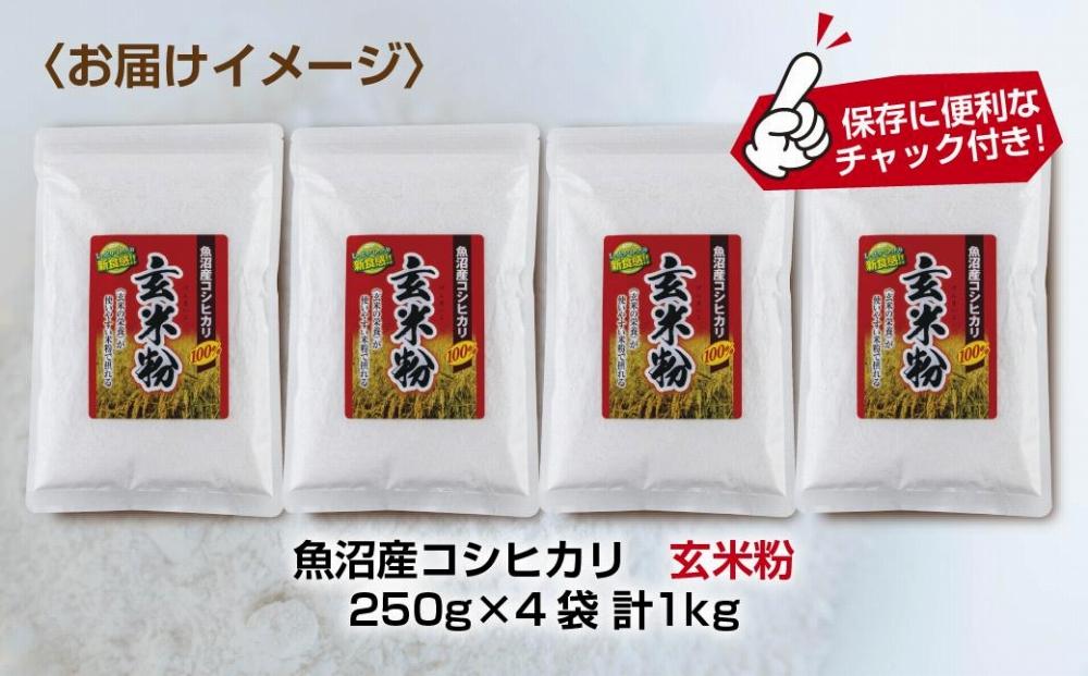 ES482 玄米粉 250g×4袋 計1kg 魚沼産 コシヒカリ 玄米 白米粉 グルテンフリー 小麦不使用 GABA アレルギー お取り寄せ パン ケーキ 菓子 ギフト 送料無料 コパフーズ 新潟県 南魚沼市