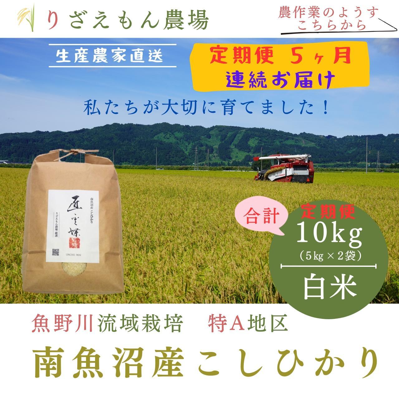 《新米予約受付》【定期便５回×１０kg《合計50kg》】令和６年産　南魚沼産コシヒカリ　白米 １０kg　　＼生産農家直送／