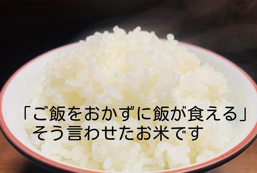 【新米】令和６年産　南魚沼塩沢産JAS有機栽培米「さとみ」白米５kg