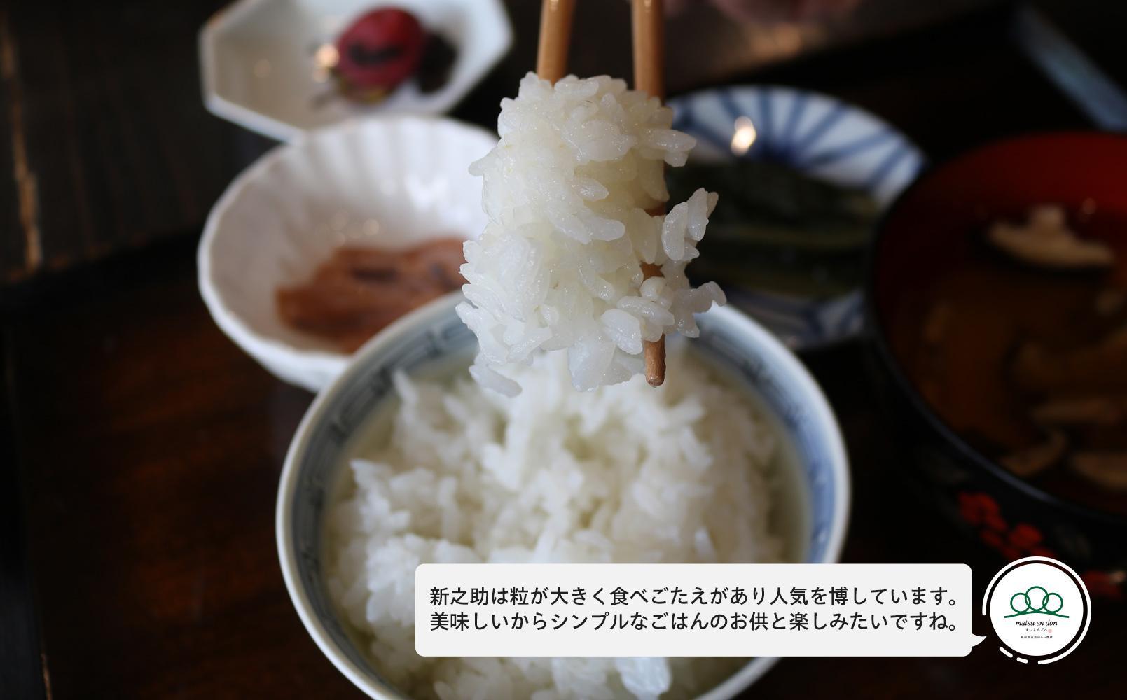定期便【令和8年産新米予約】玄米5kg×6回 南魚沼産新之助＜6ヶ月定期便＞農家直送_AG【定期便 銘柄米 ブランド米 玄米 新之助 魚沼産 新潟米 産地直送 お米 米 こめ】【令和8年10月中旬から1ヶ月以内に順次発送予定】