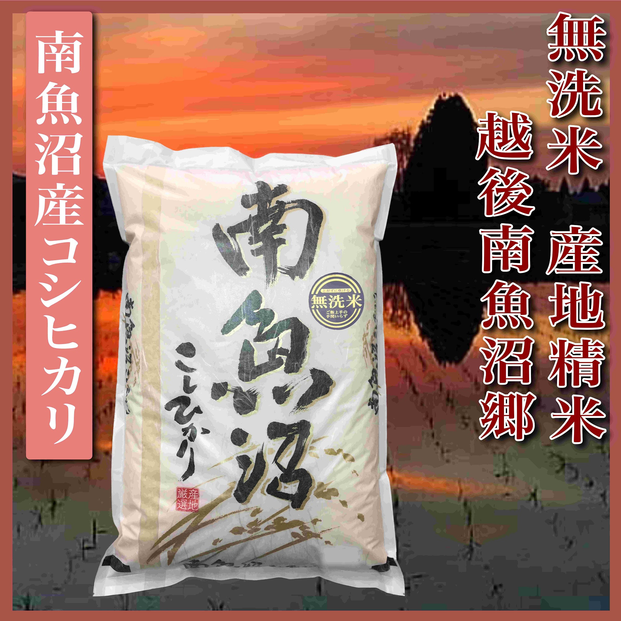 縲蝉サ、蜥7蟷エ逕」縲代千┌豢礼アウ5Kg縲題カ雁セ悟漉鬲壽イシ驛キ 蜊鈴ュ壽イシ逕」繧ウ繧キ繝偵き繝ェ