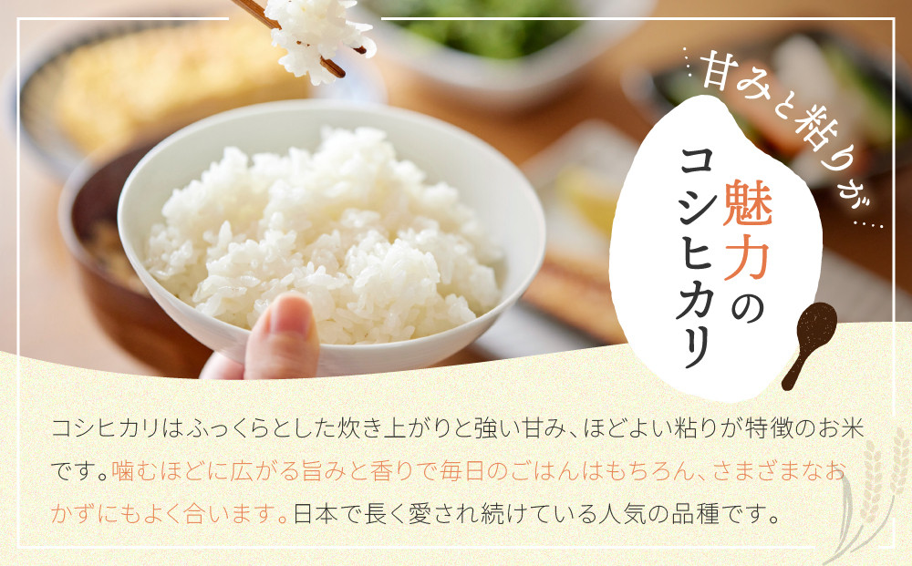 【令和7年産米】南魚沼産コシヒカリ 白米 5kg【銘柄米 ブランド米 精米 こしひかり コシヒカリ 魚沼産 新潟米 産地直送 お米 米 こめ コメ ご飯 御飯 ごはん】