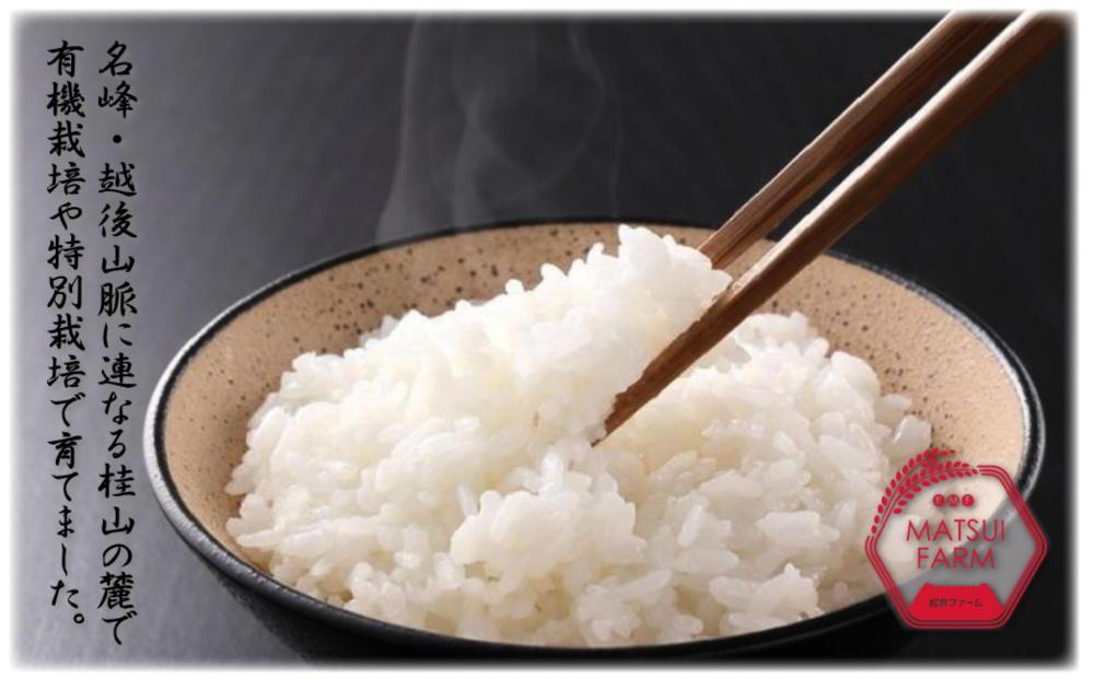 【令和8年産新米予約】南魚沼産コシヒカリ（5kg)【2026年10月上旬より1ヶ月以内に順次発送予定】