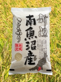 【令和7年産】【南魚沼産】コシヒカリ　10kg