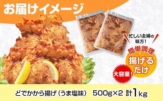 ES247 どでか味付けから揚げ うま塩味 500g×2パック 計1kg 大容量 唐揚げ からあげ から揚げ しお 塩 揚げ物 冷凍 惣菜 簡単 調理 肉 おかず 味付き 野崎フーズ 新潟県 南魚沼市