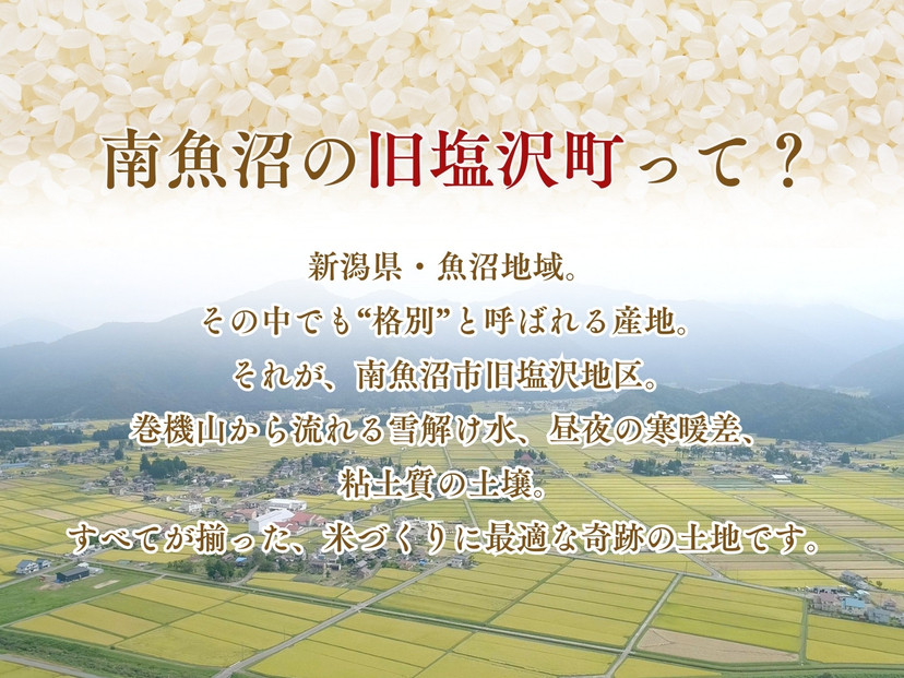 縲仙ョ医j縺溘>譌・譛ャ譛画焚縺ョ蜻ウ縲大漉鬲壽イシ縲梧立蝪ゥ豐「蝨ー蛹コ縲埼剞螳 繧ウ繧キ繝偵き繝ェ 5kg 邇邀ウ