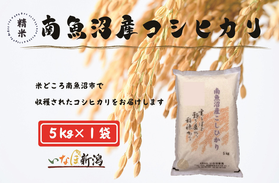【令和7年産米】南魚沼産コシヒカリ 白米 5kg