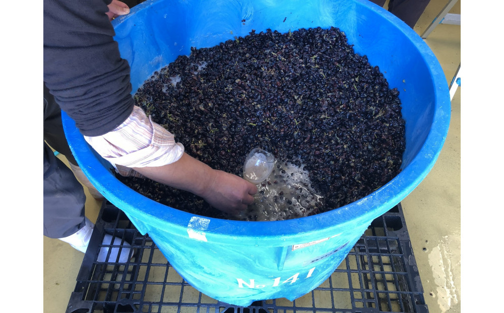 南魚沼産カベルネ2020 芳醇なえんじ色と紅茶の香り　750ml×１本