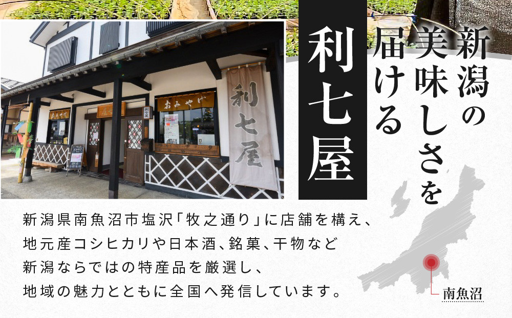 先行予約【高級】八色原すいか小玉２玉【2026年7月中旬発送】【お届け日時指定不可】