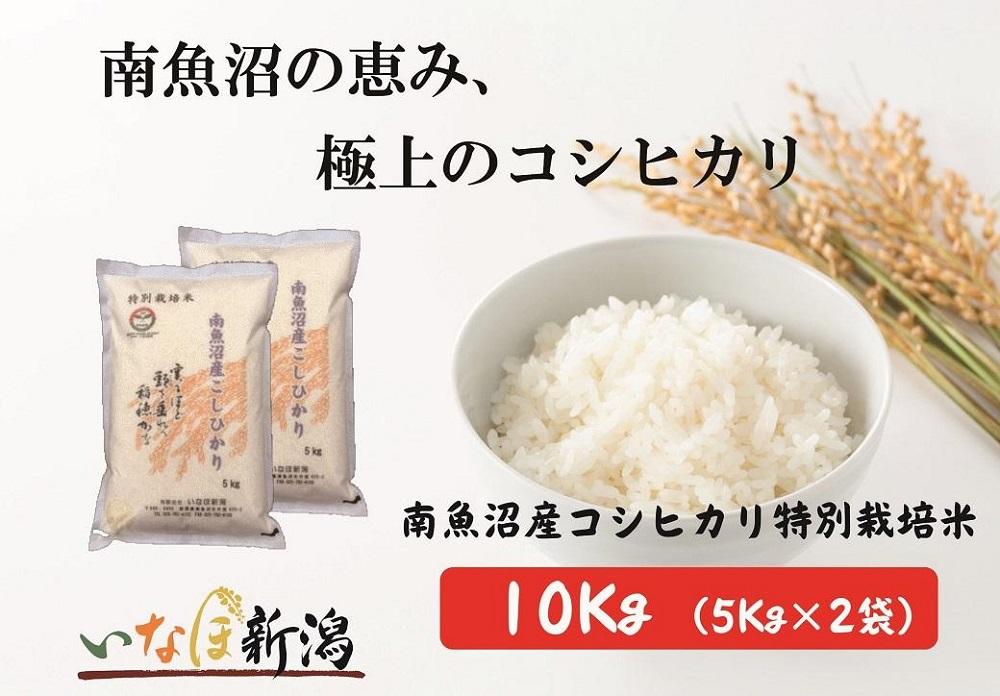 南魚沼産コシヒカリ特別栽培米 白米 10kg