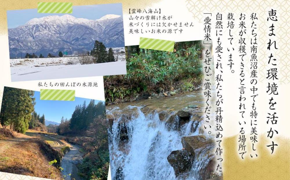 【生産者直送】【定期便６ヶ月】【令和8年産　新米予約 】  南魚沼産こしひかり 無洗米5kg×全6回　合計30kg　オグライスファーム＜コシヒカリ 農家直送＞【2026年10月中旬から1ヶ月以内に順次発送予定】